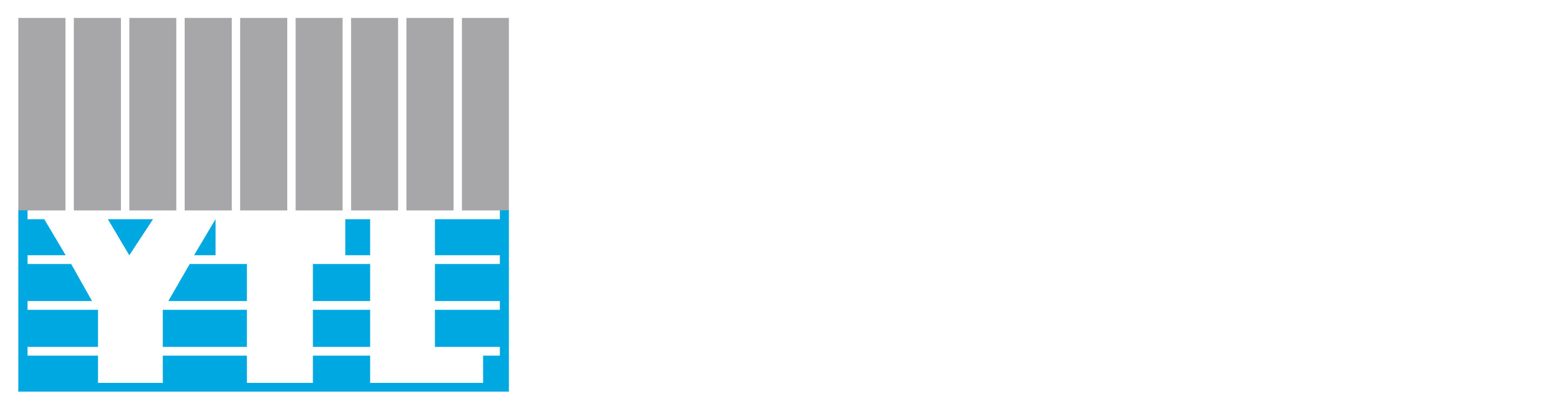 YTL Group Logo